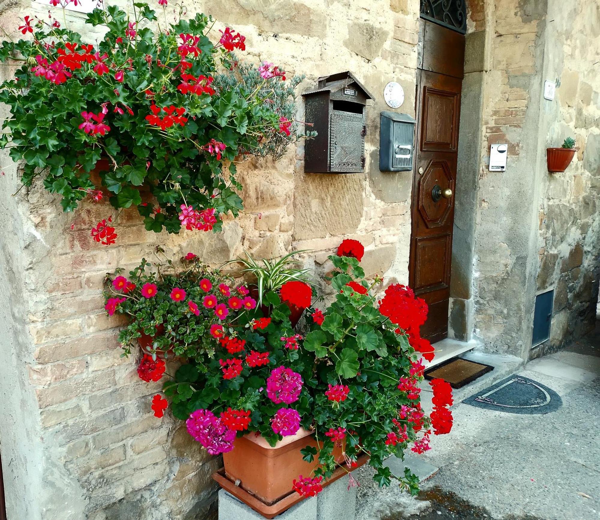 Ferienwohnung Casa Tarrini Chianni Exterior foto